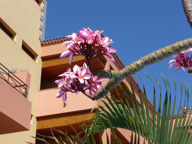 Costa Adeje