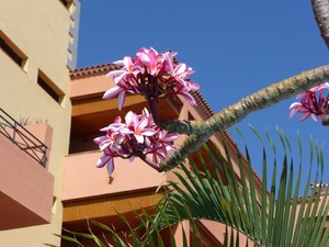Costa Adeje