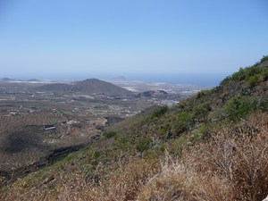 Puerto de la Cruz