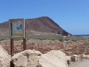 Playa Tejita