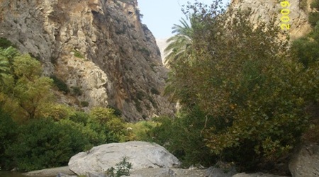 czysta natura – Preveli, Grecja