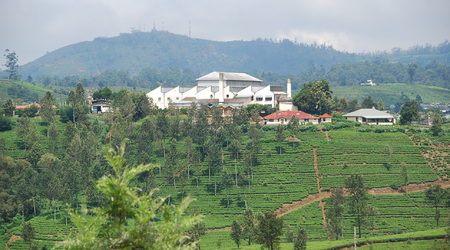 fabryka herbaty – Nuwara Eliya, Sri Lanka