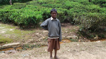 tamilski chłopiec – Nuwara Eliya, Sri Lanka