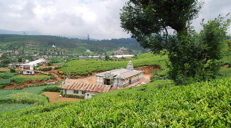 hinduska świątynia – Nuwara Eliya, Sri Lanka