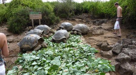 Galapagos – Ekwador