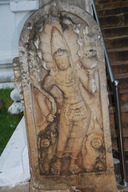 witający – Anuradhapura, Sri Lanka