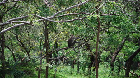 mieszkańcy Polonnaruwa – Sri Lanka