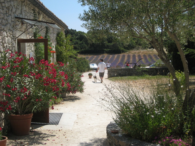 Muzeum lawendy