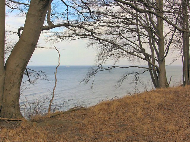 Jastrzębia  Góra - 10 marzec 2011