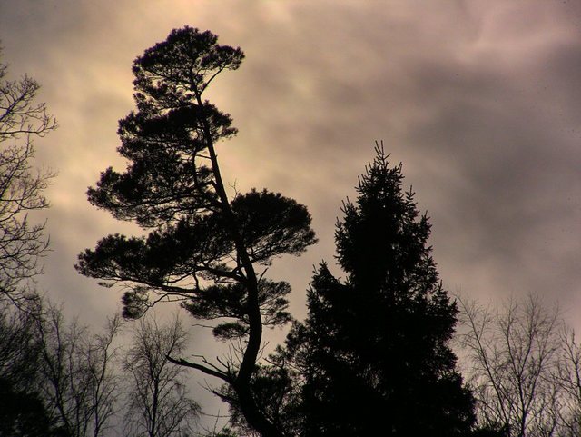 Jastrzębia  Góra - 10 marzec 2011