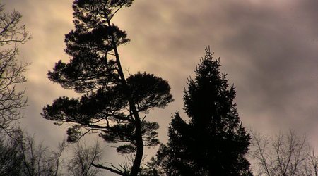 Jastrzębia  Góra - 10 marzec 2011 – Jastrzębia Góra, Polska