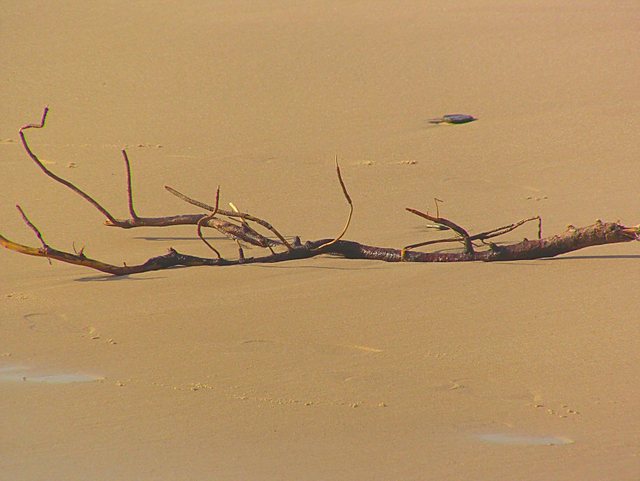 Jastrzębia  Góra - 10 marzec 2011