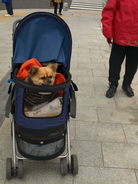 Ulice hiroszimy  i jej mieszkancy hehe