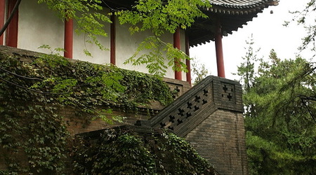Mała Pagoda Dzikich Gęsi – Xian, Chiny