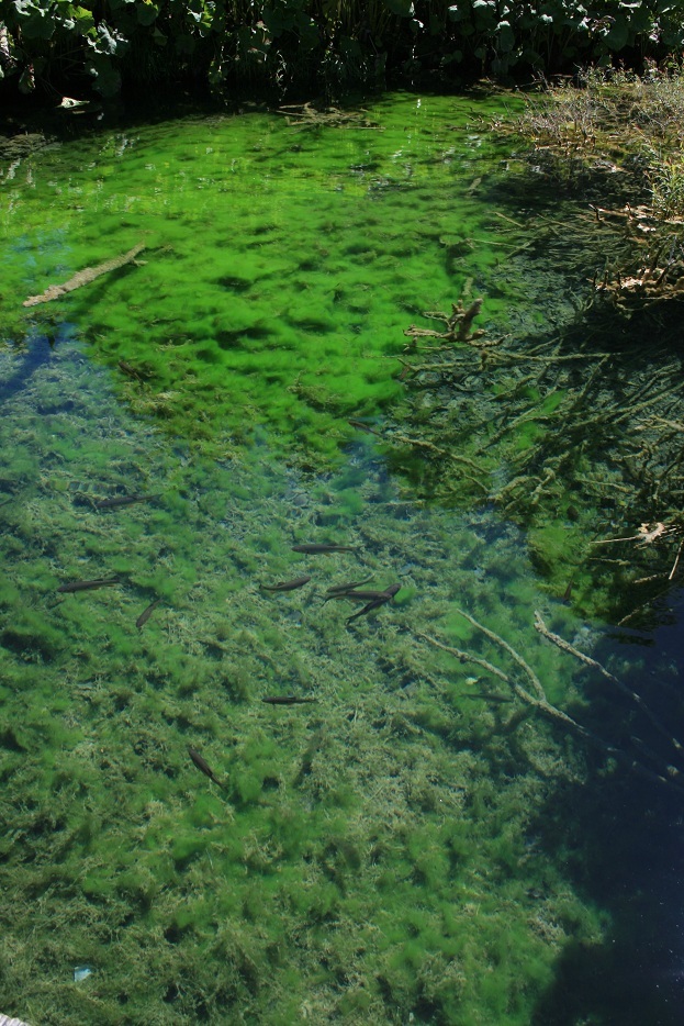 Plitvička Jezera