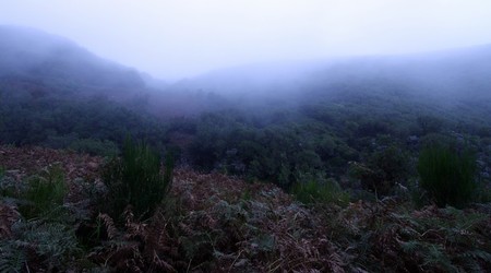 Wędrówka wzdłuż levad – Parque ecologico do funchal, Portugalia