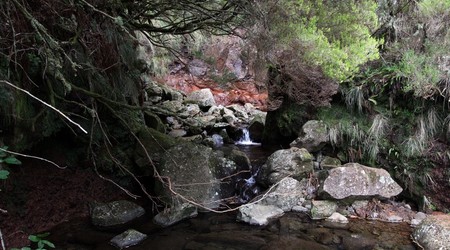 Wędrówka wzdłuż levad – Parque ecologico do funchal, Portugalia
