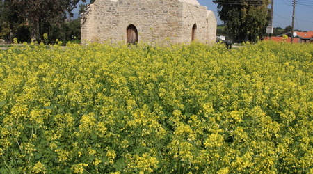 Limassol – Cypr