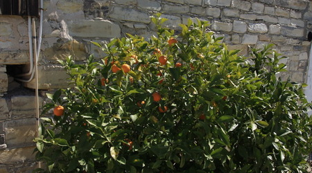 Lefkara – Cypr