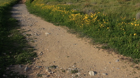 Pafos – Cypr