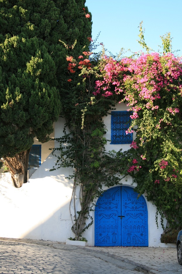 Sidi Bou Said 