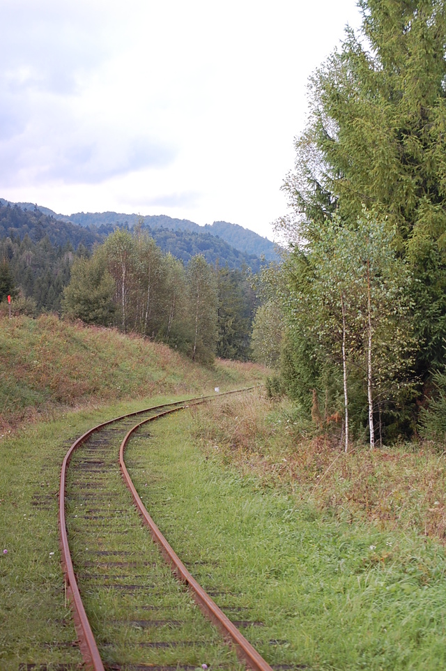 Bieszczady 