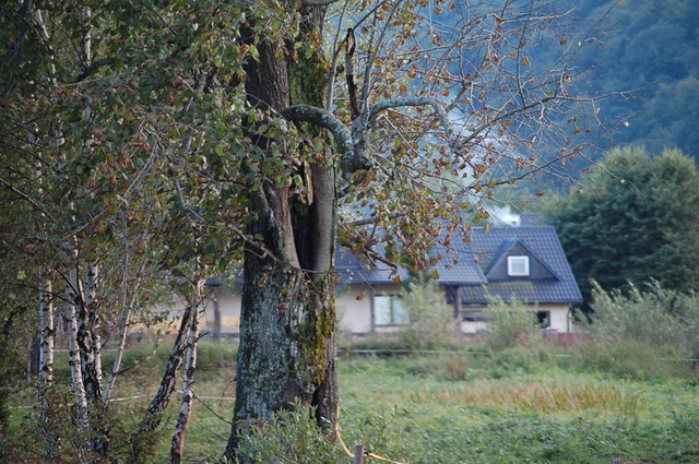 Bieszczady 