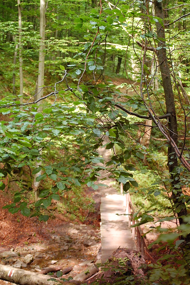 Bieszczady