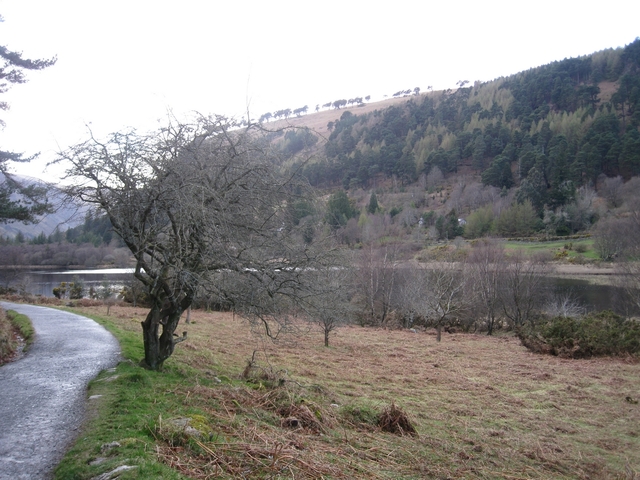 Glendalough