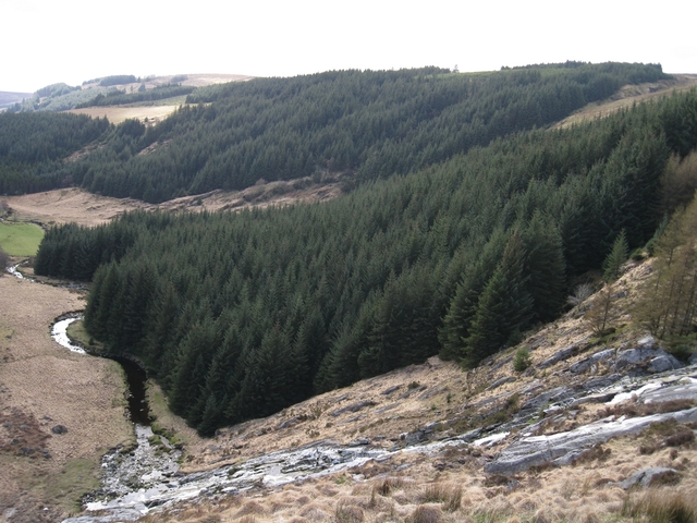 Irlandia