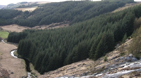 Irlandia
