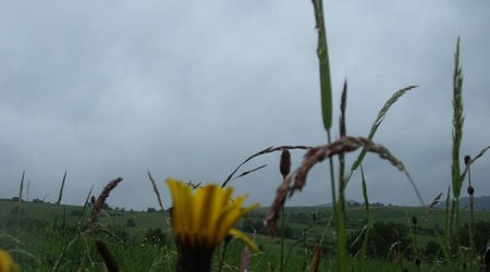 Łąki nad Baligrodem – Baligród, Polska