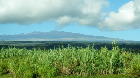 Nieopodal Hilo na Big Island – Stany Zjednoczone Ameryki