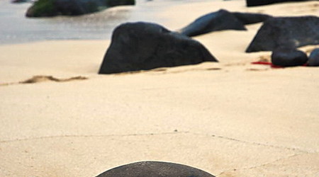 Turtle Beach, O'ahu – Glob