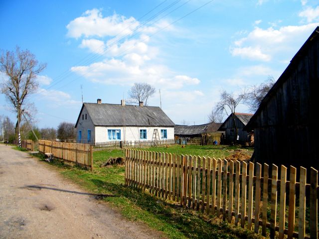 250