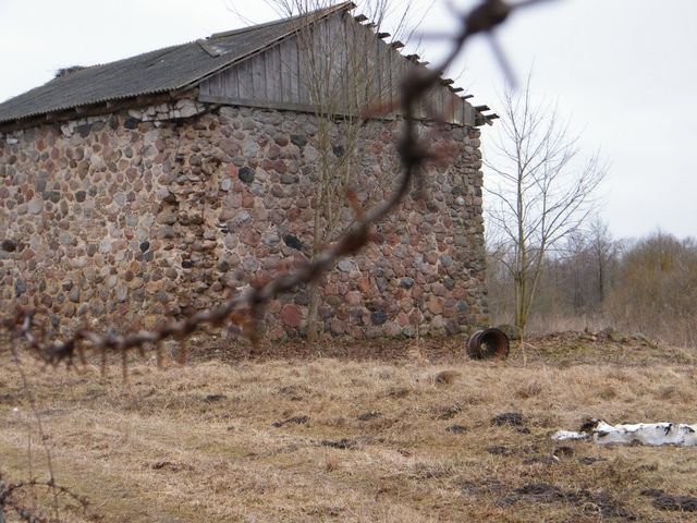 366
