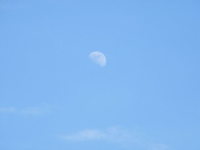 Dscf3676