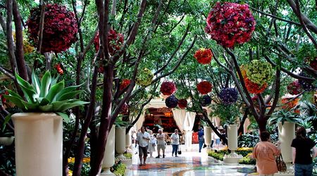Las Vegas – Stany Zjednoczone Ameryki