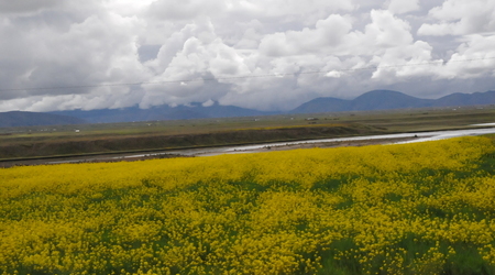 jedziemy do Cusco – Peru