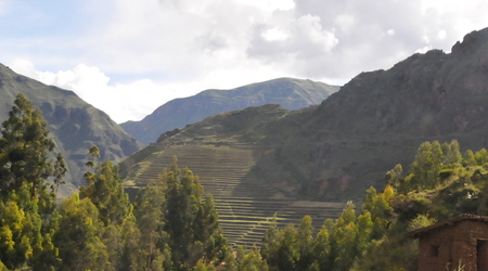 tarasy uprawne – Cusco, Peru