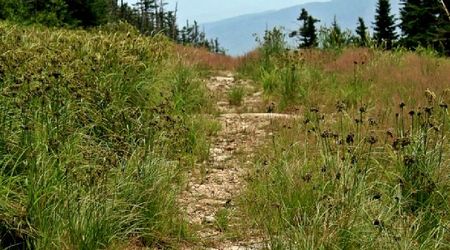 Lake placid 12 – Stany Zjednoczone Ameryki