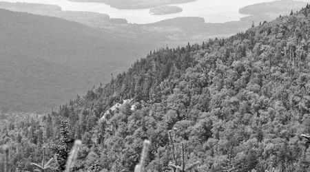 Lake placid 14 – Stany Zjednoczone Ameryki