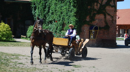 3. można pojeździć bryczką – Sierpc, Polska