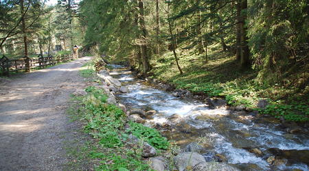 Dolina Olczyska i Potok Olczyski – Zakopane, Polska