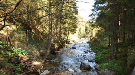 Dolina Olczyska – Zakopane, Polska