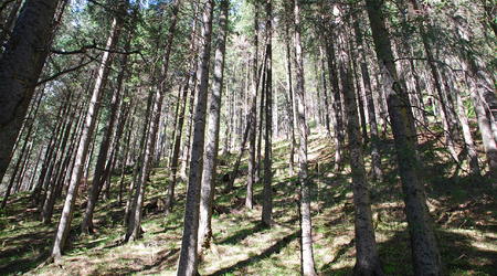 Dolina Olczyska – Zakopane, Polska