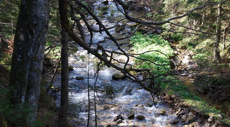 Dolina Olczyska – Zakopane, Polska