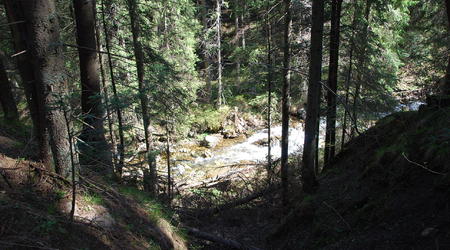 Dolina Olczyska – Zakopane, Polska