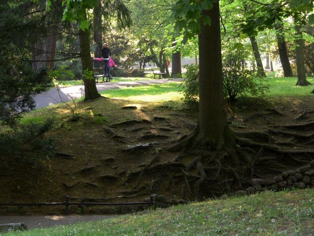Wiosenne popołudnie w  Oliwskim  Parku 2011