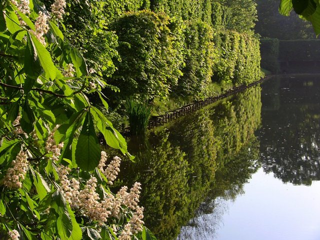 Wiosenne popołudnie w  Oliwskim  Parku 2011
